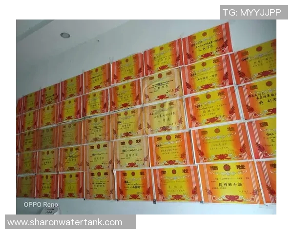 少年感与足球明星的青春岁月与梦想追逐之旅