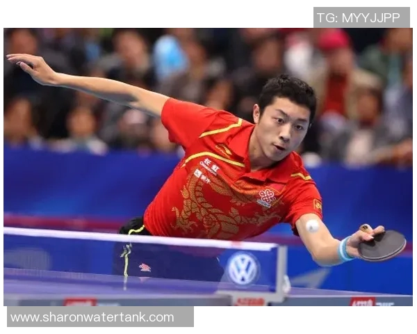 对话张伟：回顾乒乓球生涯的辉煌与挑战与未来展望