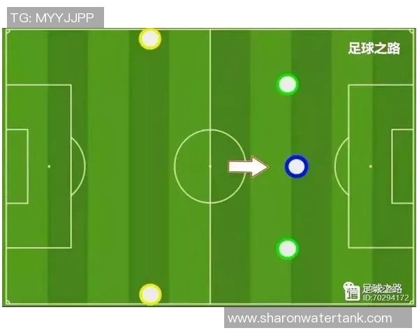 武汉足球队耐力分析与战术适应性研究探讨