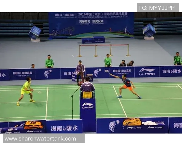 广州羽毛球队挑战赛个人能力分析与表现评估 广州羽毛球队挑战赛个人能力分析与表现评估