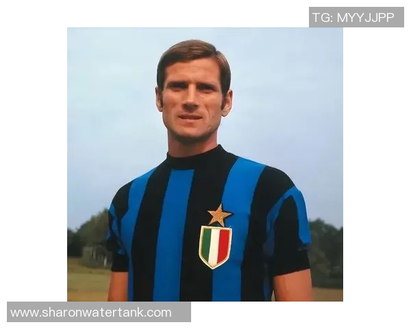 最帅足球明星背后的号码故事与传奇时刻揭秘