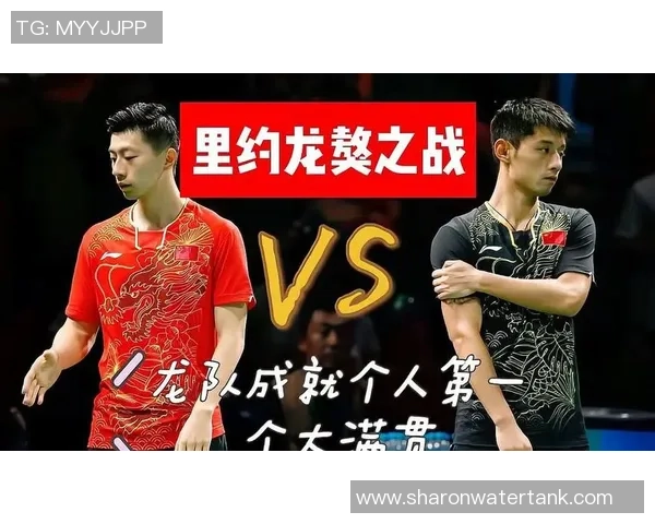 广州排球队技术表现分析与大满贯点评的深度解读