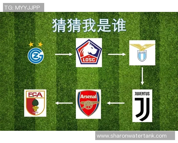 猜猜我是谁足球明星揭秘他们的职业生涯与场上传奇瞬间